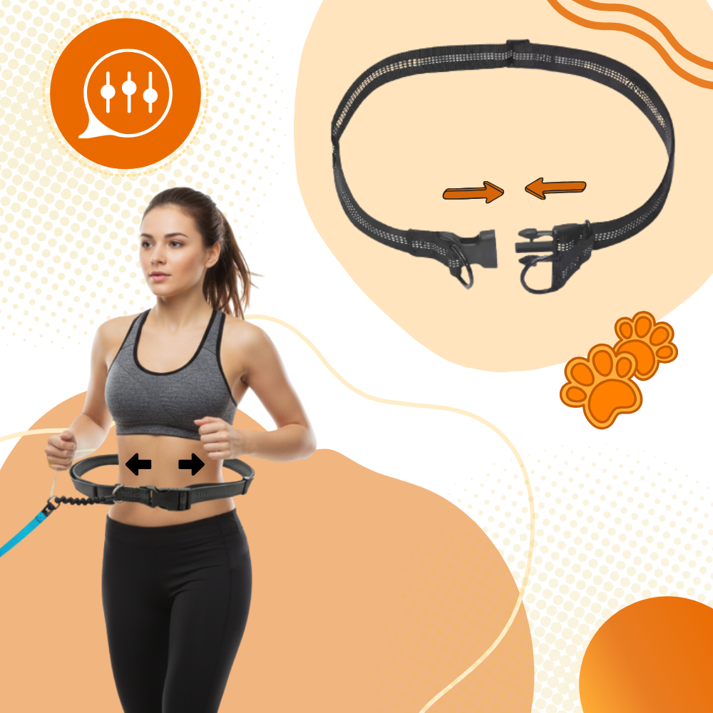 Laisse de sécurité mains-libres pour chien - Ozerty