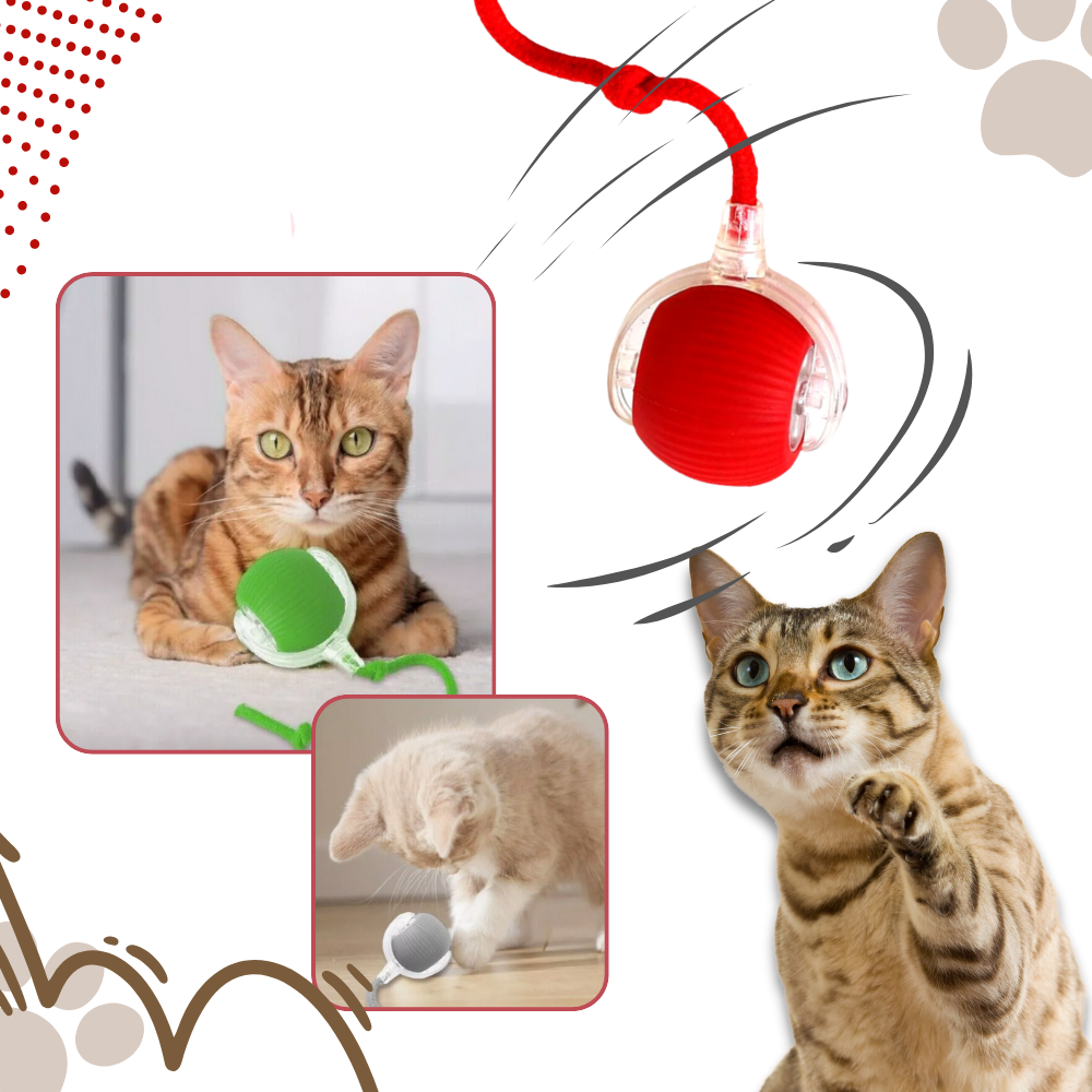 Jouet interactif intelligent pour chats  - Ozerty