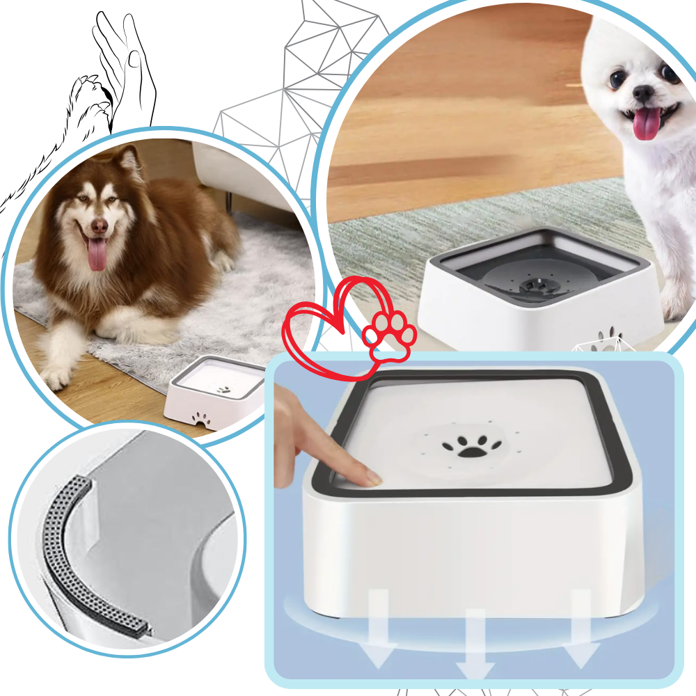 Gamelle anti-éclaboussures pour chiens - Ozerty