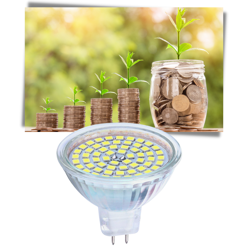 Lot de 3 ampoules LED économique - Ozerty