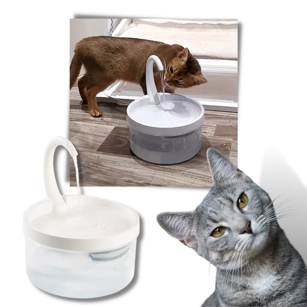 Fontaine d'eau automatique pour chat avec lumière led