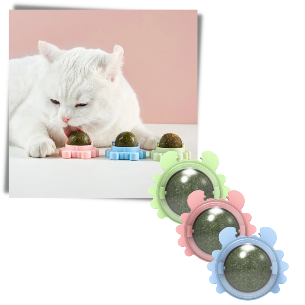 Jouet boule de menthe rotative pour chat - Ozerty