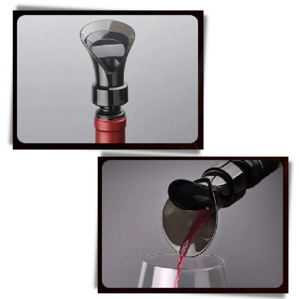 Décanteur de vin 2-en-1 avec bouchon - Ozerty