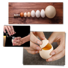 Ouvreur de coquilles d'oeufs - Ozerty