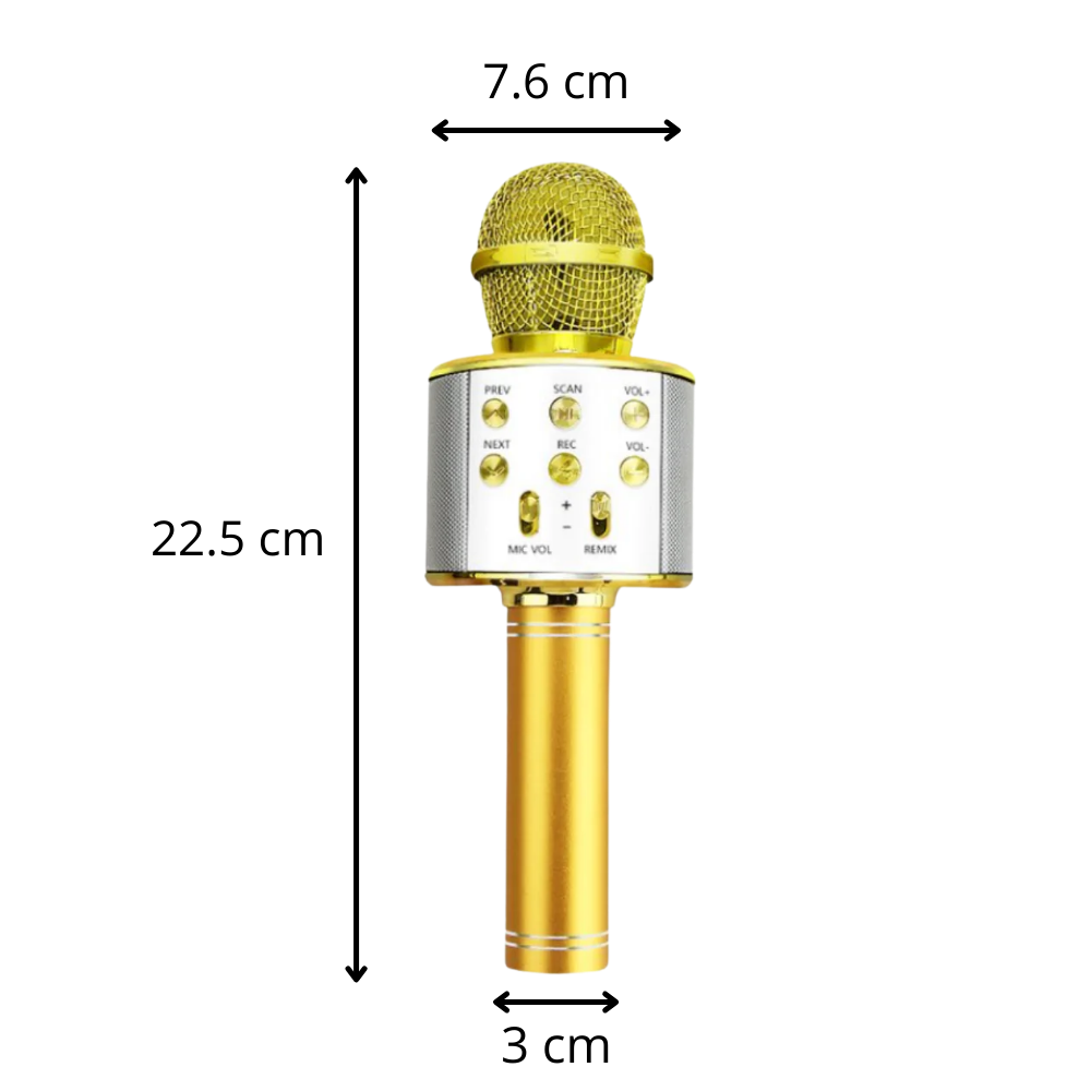 Microphone karaoké Bluetooth sans fil - Ozerty