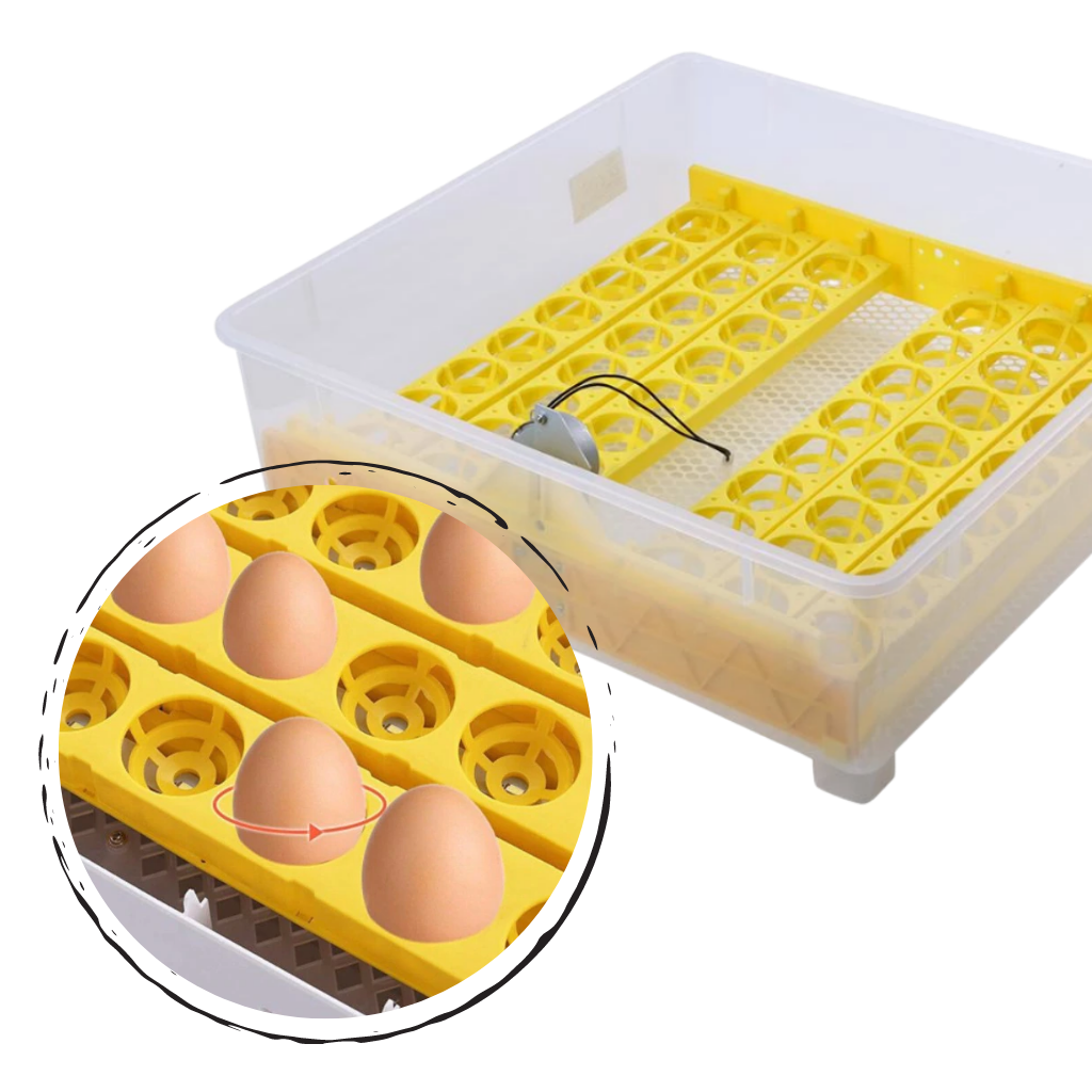 Automatic egg incubator 48 eggs 