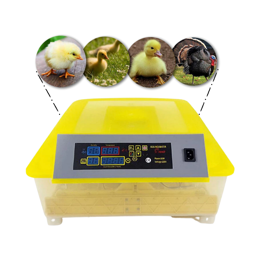Automatic egg incubator 48 eggs 