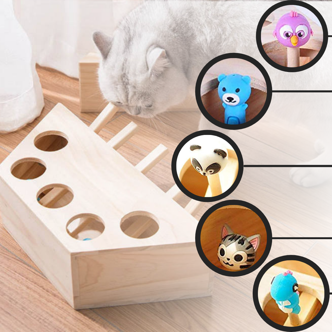 Jouet interactif en bois à 5 trous pour chat - Ozerty