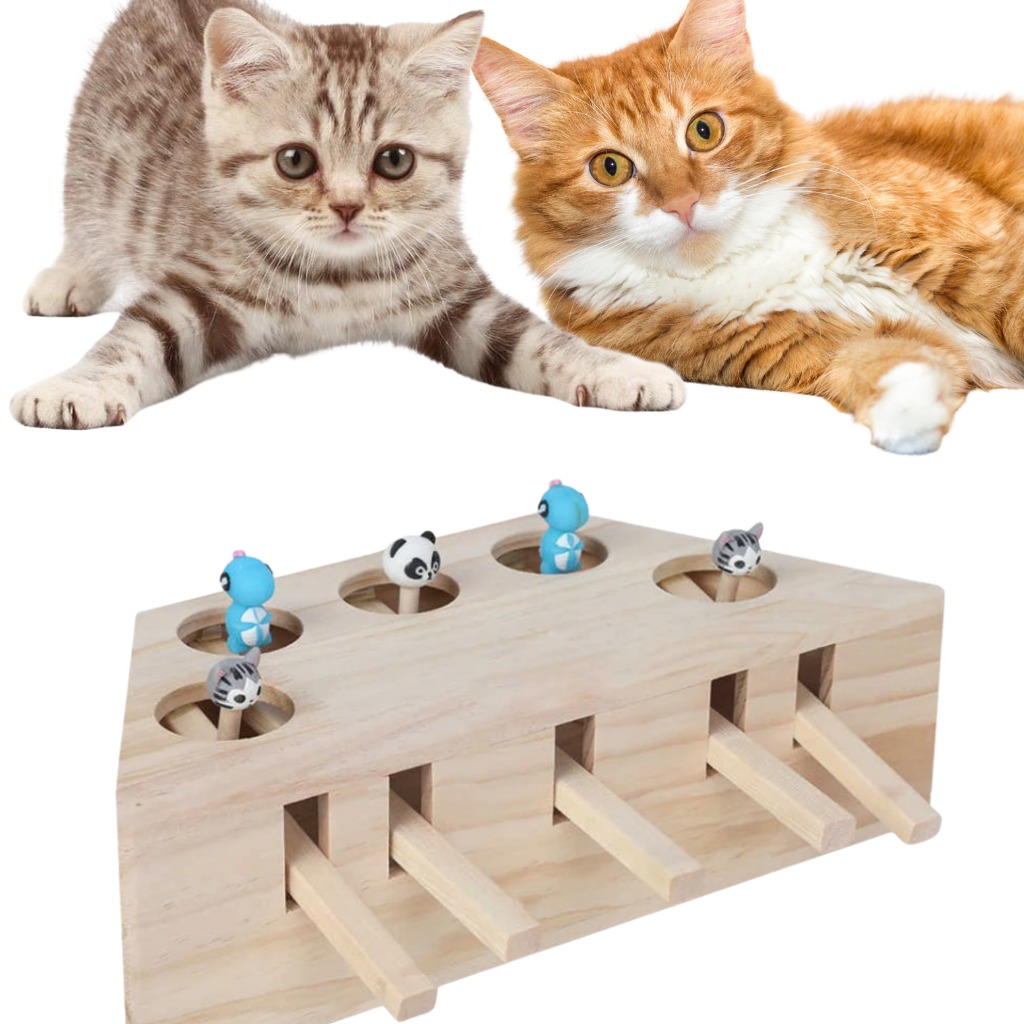 Jouet interactif en bois à 5 trous pour chat - Ozerty