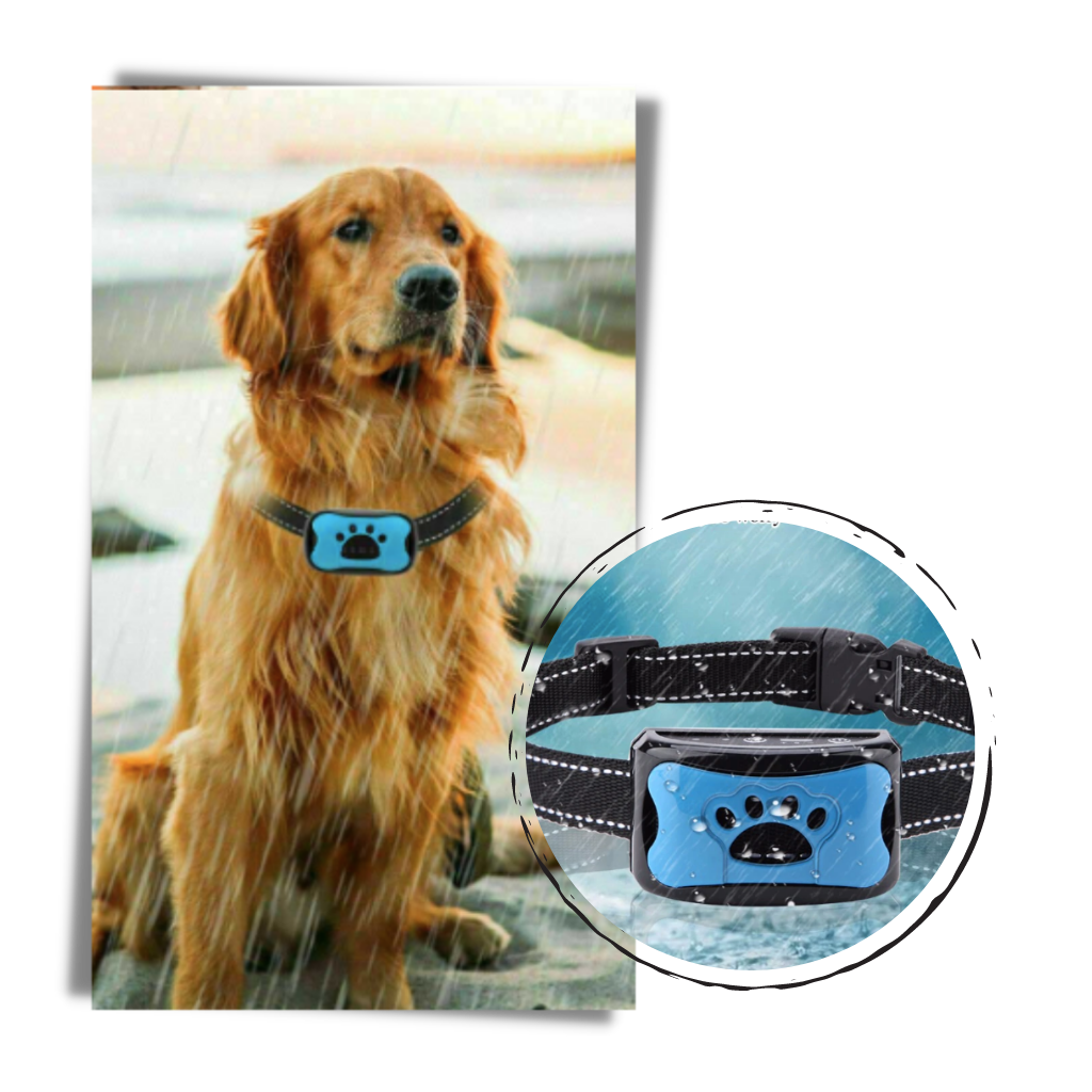 Anti-bark collar for dogs 