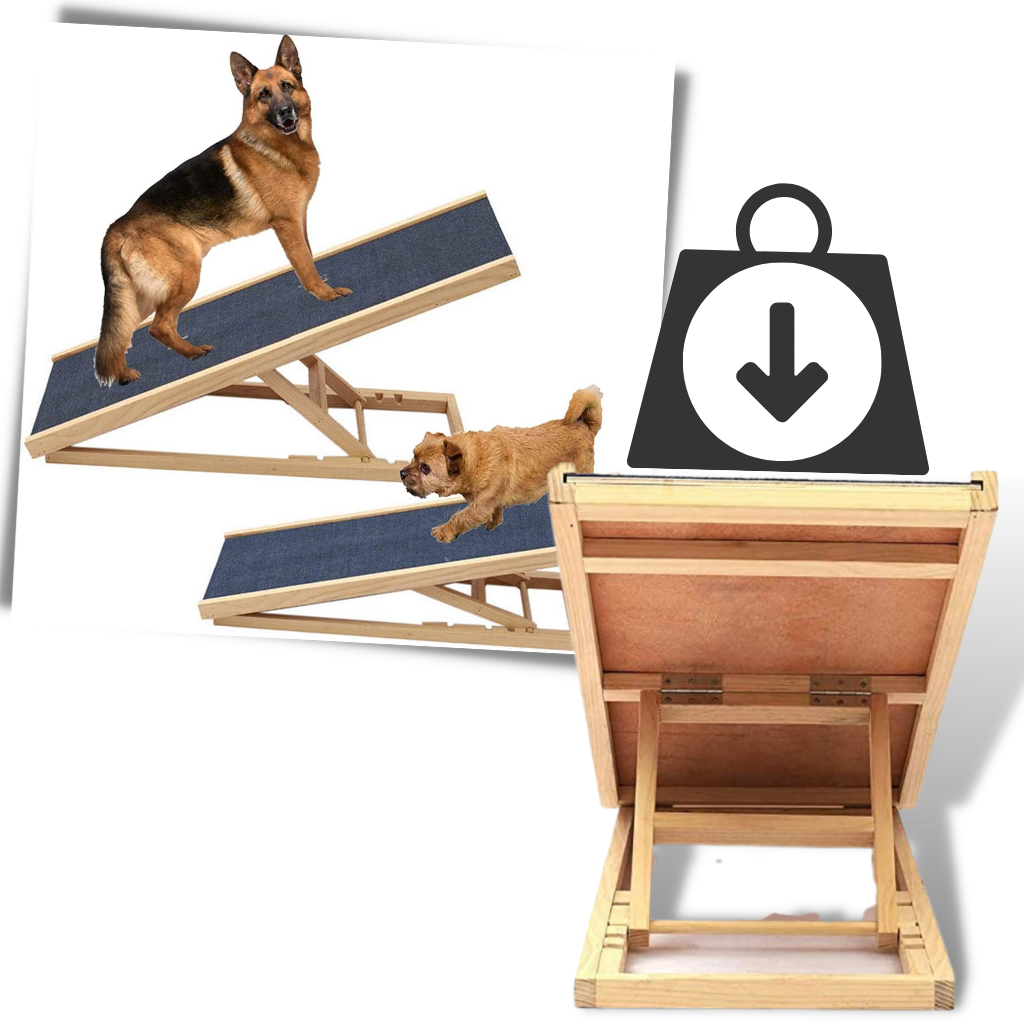 Rampe ajustable pour chiens - Ozerty