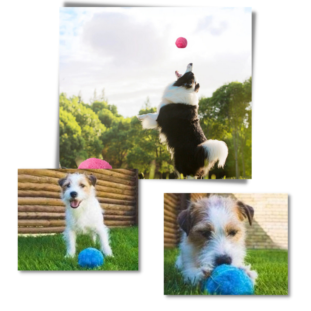 Balle rotative automatique pour chien avec 4 housses - Ozerty