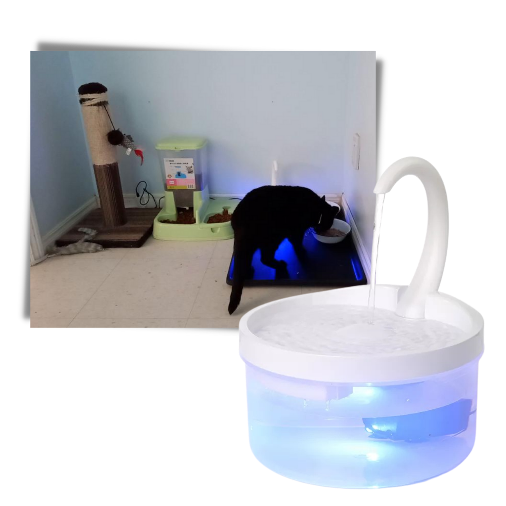 Fontaine d'eau automatique pour chat avec lumière led - Ozerty