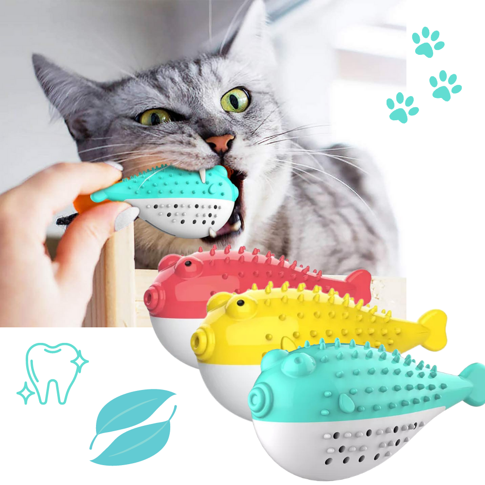 Brosse à dents rechargeable pour chats en forme de poisson