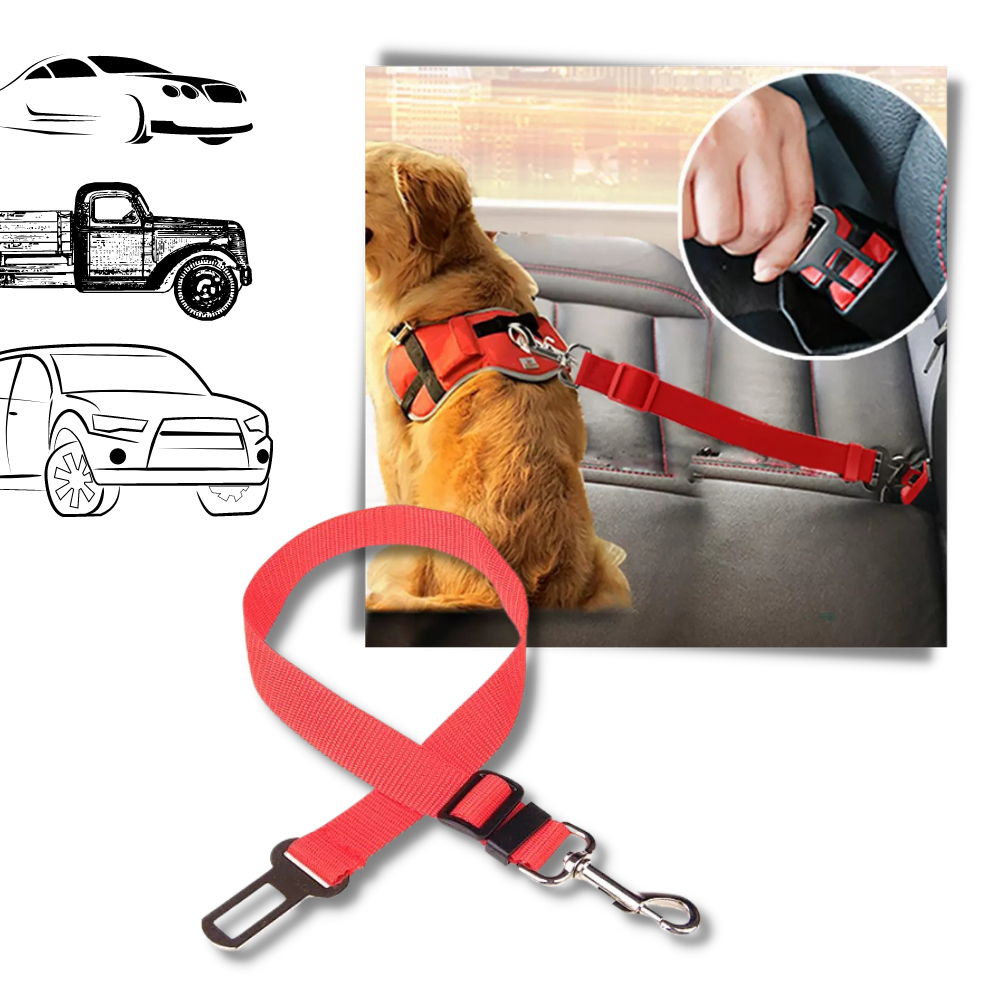 Ceinture de sécurité réglable et résistante pour chiens en voiture - Ozerty