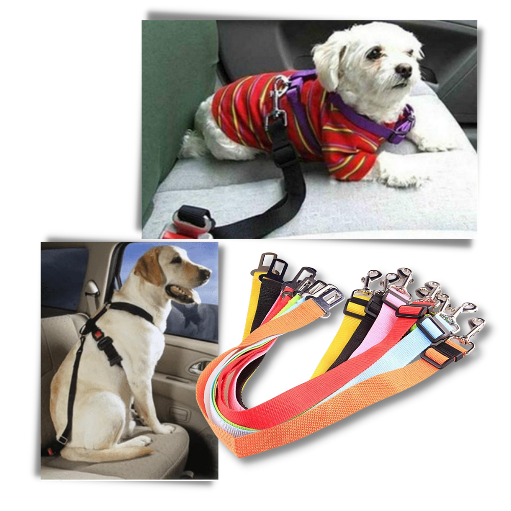 Ceinture de sécurité réglable et résistante pour chiens en voiture - Ozerty