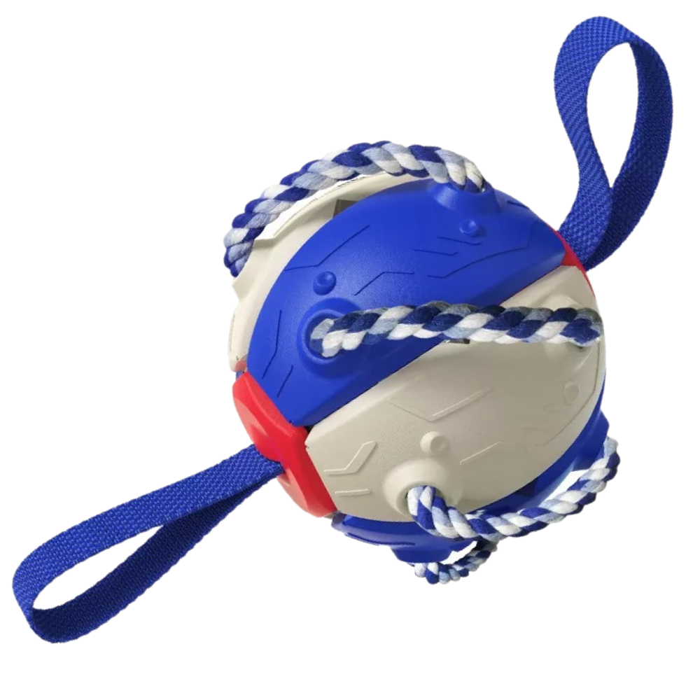 Ballon de frisbee pour chien  - Ozerty