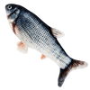 Jouet poisson pour chat