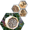 Maison d'abeilles hexagonale en bois  - Ozerty