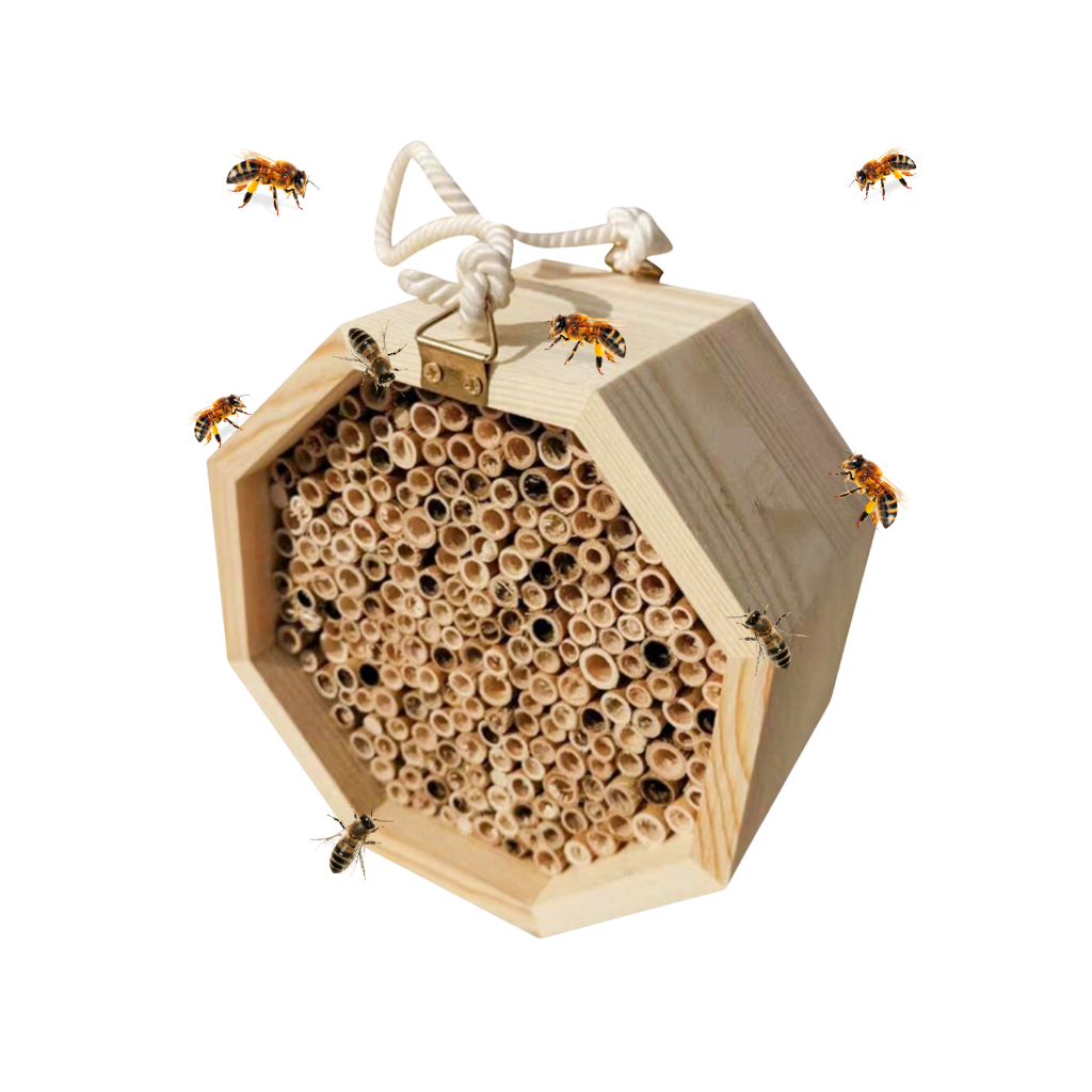 Maison d'abeilles hexagonale en bois  - Ozerty