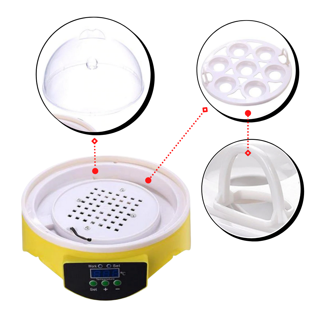 Mini automatic egg incubator 
