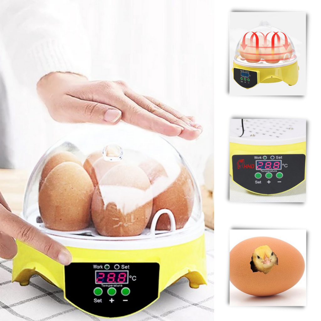 Mini automatic egg incubator 