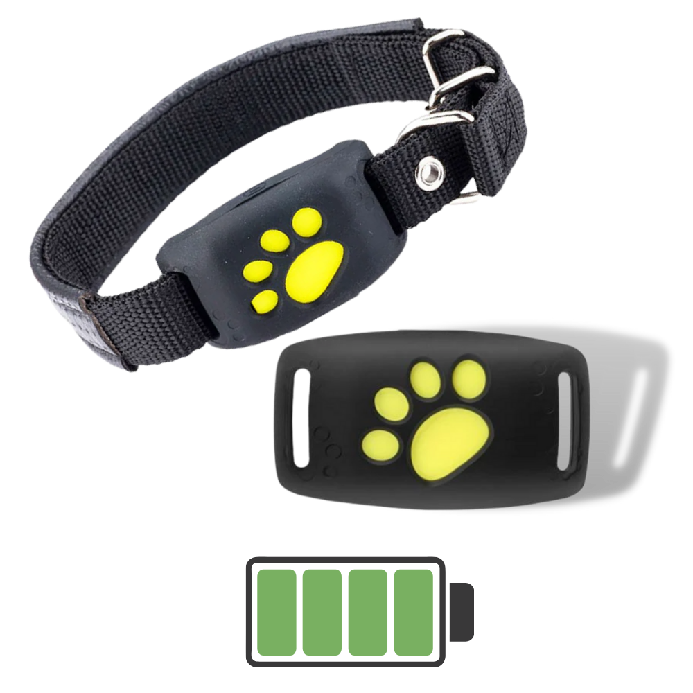 Collier de repérage GPS pour animaux de compagnie - Ozerty