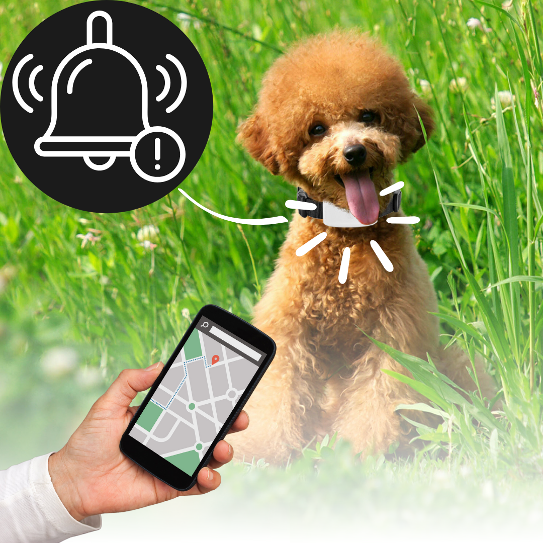 Collier de localisation GPS pour animaux de compagnie - Ozerty