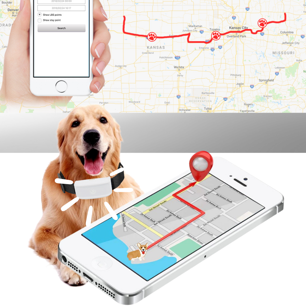 Collier de localisation GPS pour animaux de compagnie - Ozerty