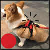 Harnais réglable avec bande réfléchissante pour chien - Ozayti