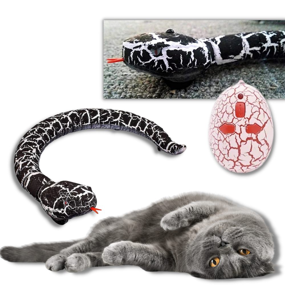 Jouet serpent interactif télécommandé pour chat