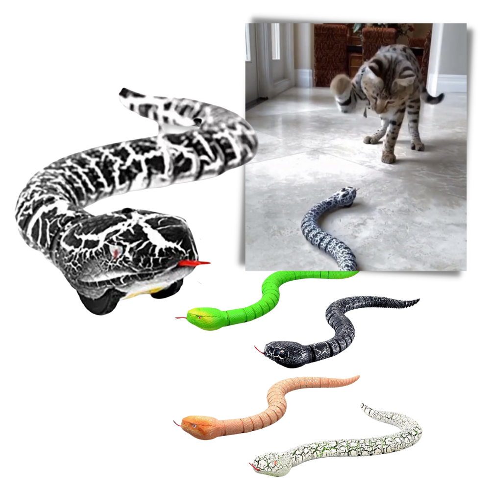Jouet serpent interactif télécommandé pour chat - Ozerty