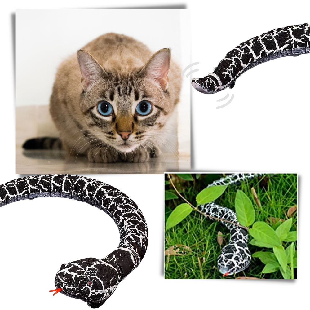 Jouet serpent interactif télécommandé pour chat - Ozerty