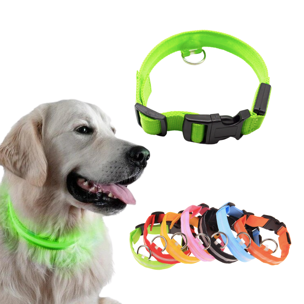 LED light collar for animals 