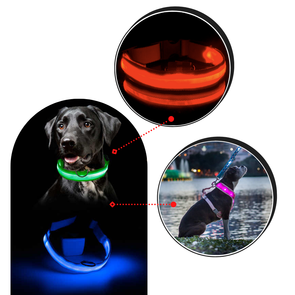 LED light collar for animals 