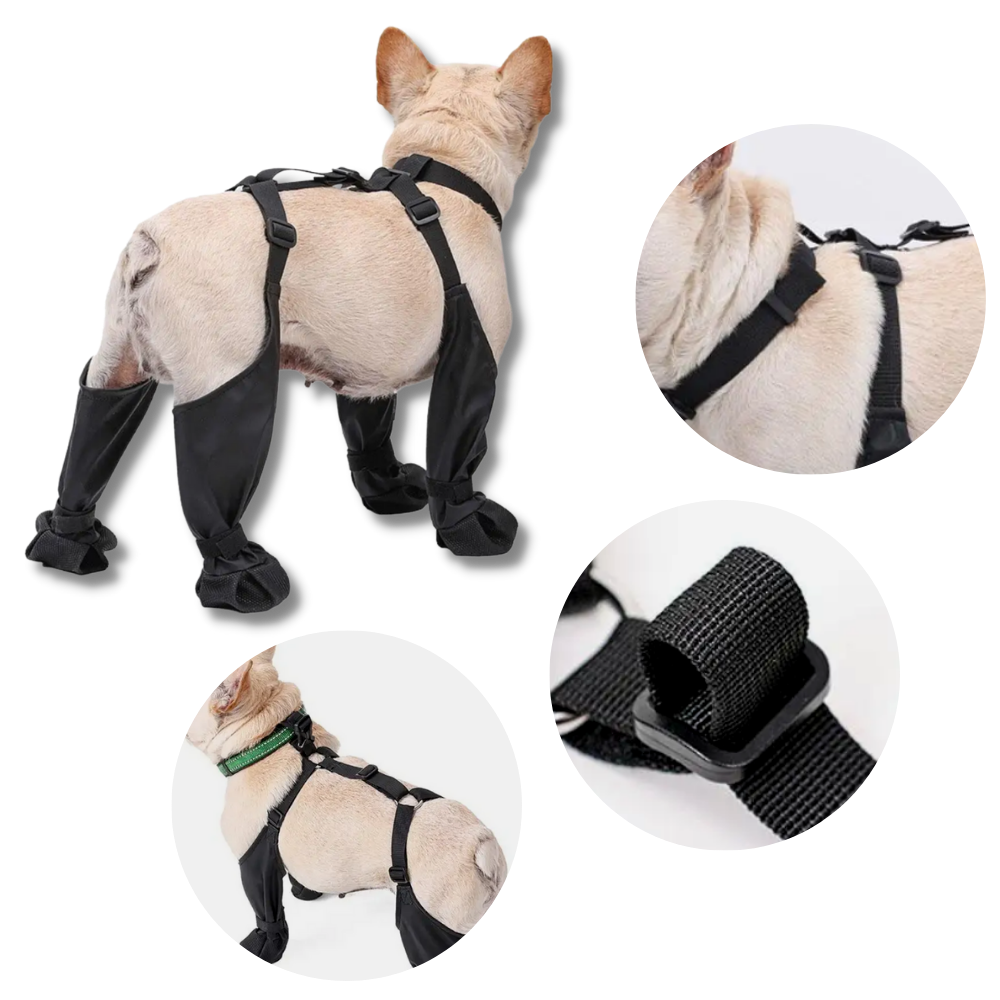 Bottes à bretelles imperméables pour chiens - Ozerty